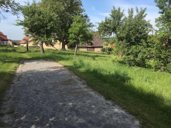 Schöner Baumbestand