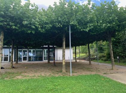 Eisingen-Blätterdach